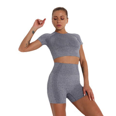 Women's High Waist Yoga Sets High Elasticity Skinny Quick Dry Yoga Sets Yoga Shirt Yoga Shorts Fitness Gym Workout Running Sports Clothing Sets