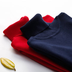 Women's Winter Turtle Neck Ribbed Knit Sweater Pullover