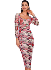 Sexy Floral Print Long Sleeve Over-The-Knee Slim Mesh Party Dress With Lining