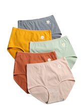 Women's Daisy Print High Waist Seamless Cotton Panties - Breathable & Antibacterial
