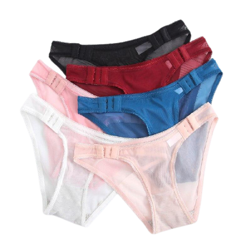 Comfortable Sexy Women's Low Waist Lace Mesh Panties Solid Color