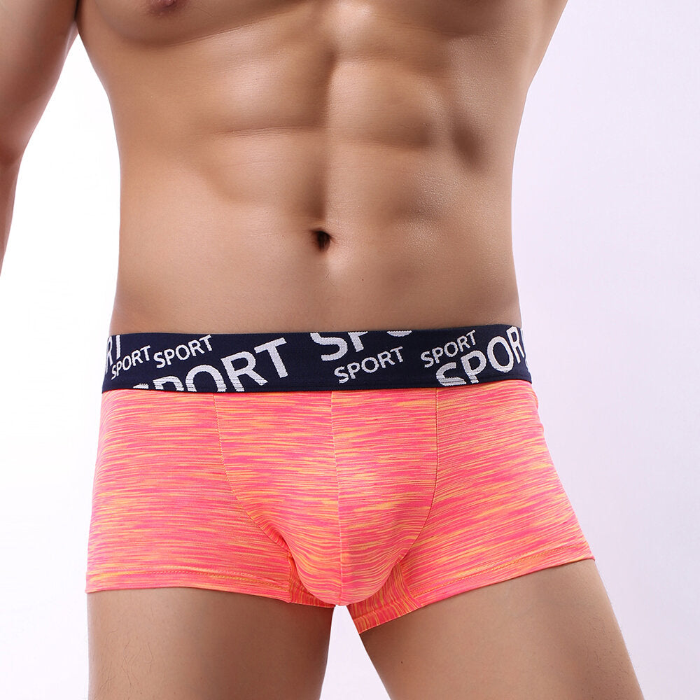 Colorful Cotton Underwear Breathable U Convex Pouch Widen Waistband Underwear for Men