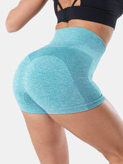 Sport Women Solid Color Seamless High Waist Yoga Shorts