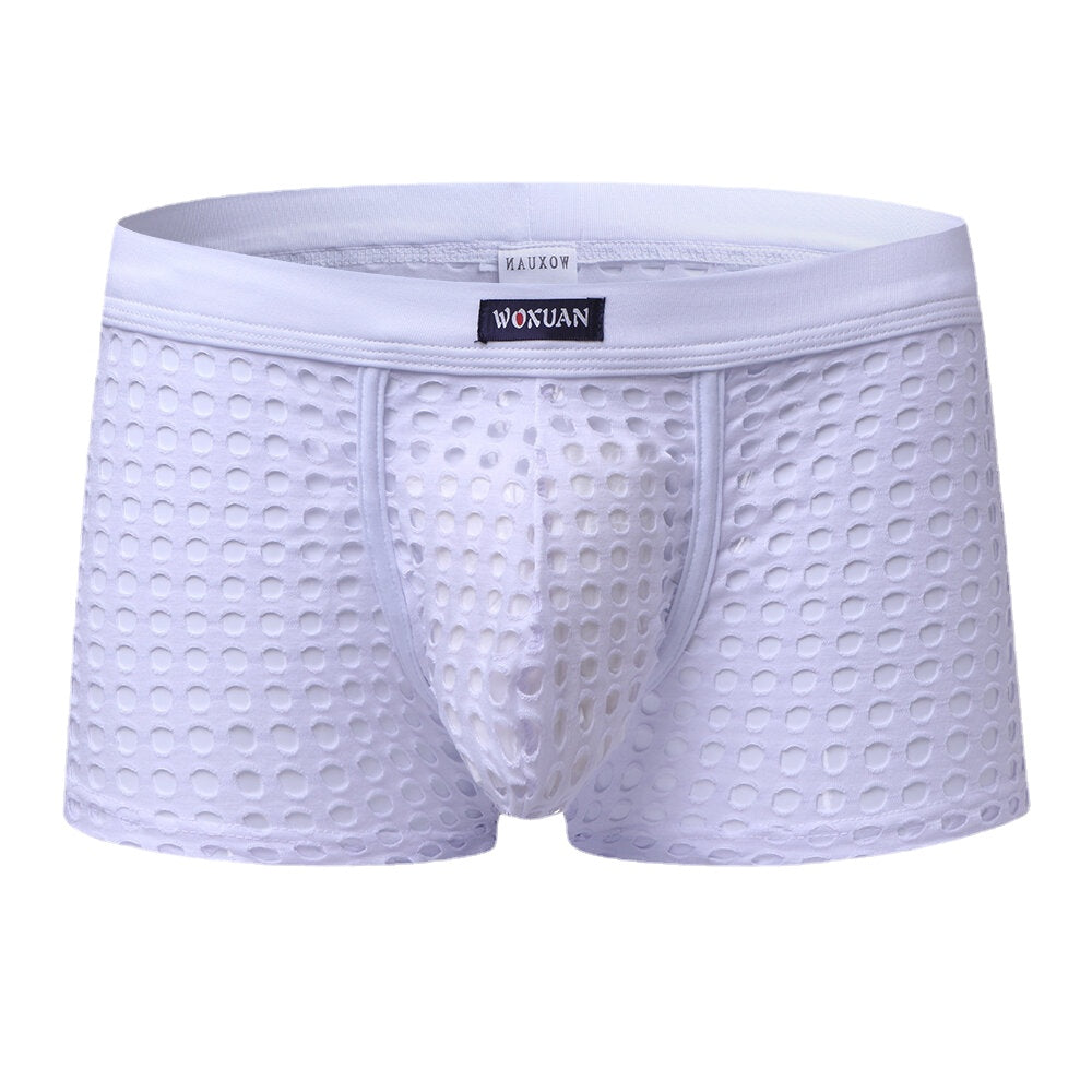 Mens Mesh Holes Transparent Solid Color Boxers Underwear