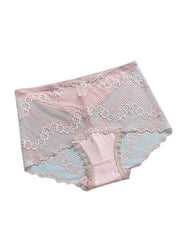 Plus Size Multi Color Women Lace Trim Mesh See Through Breathable High Waist Panties