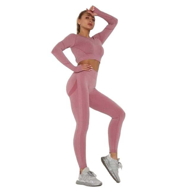 Quick-drying Sexy Ladies' Breathable Seamless Nylon Yoga Outfit