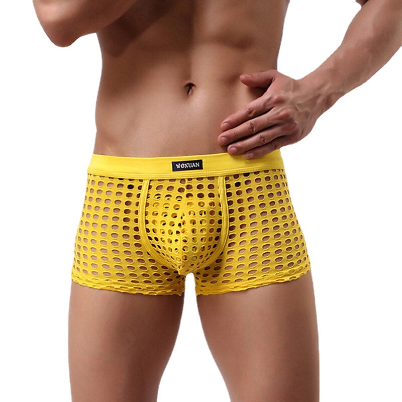 Mens Mesh Holes Transparent Solid Color Boxers Underwear