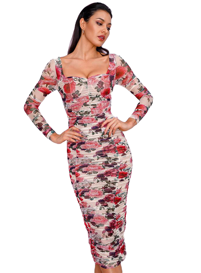 Sexy Floral Print Long Sleeve Over-The-Knee Slim Mesh Party Dress With Lining