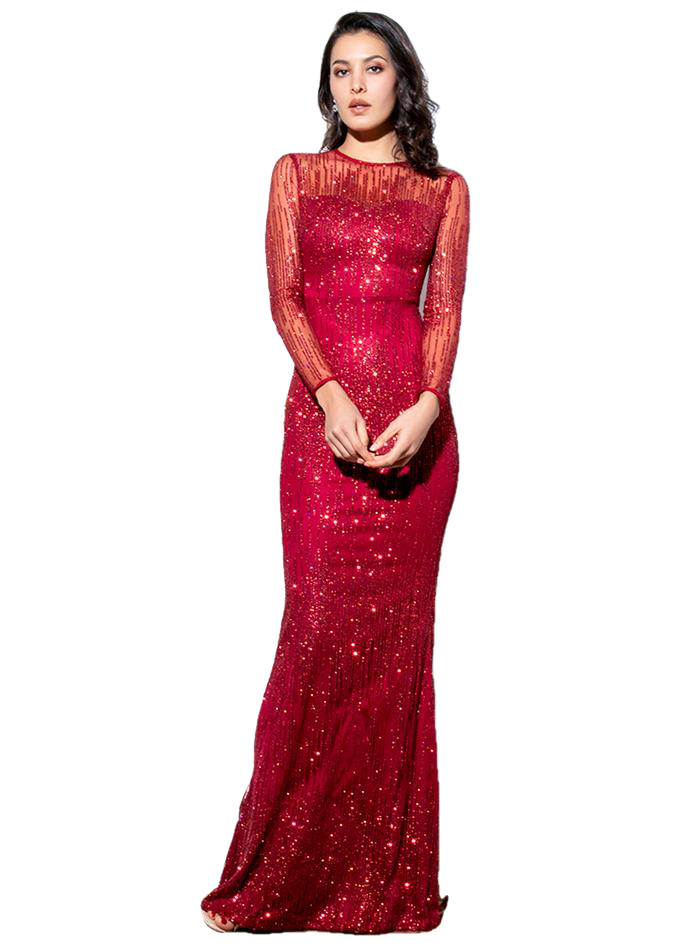 Crimson Round Neck Long Sleeve Perspective Back Glitter Glued Material Maix Dress