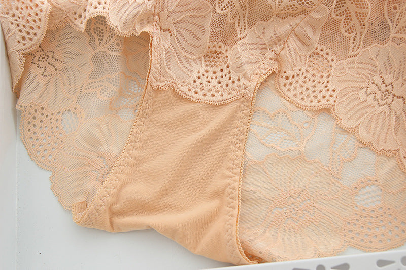 Sexy Hollow Out Floral Embroidery Lace Briefs Women With L-5Xl For Ladies