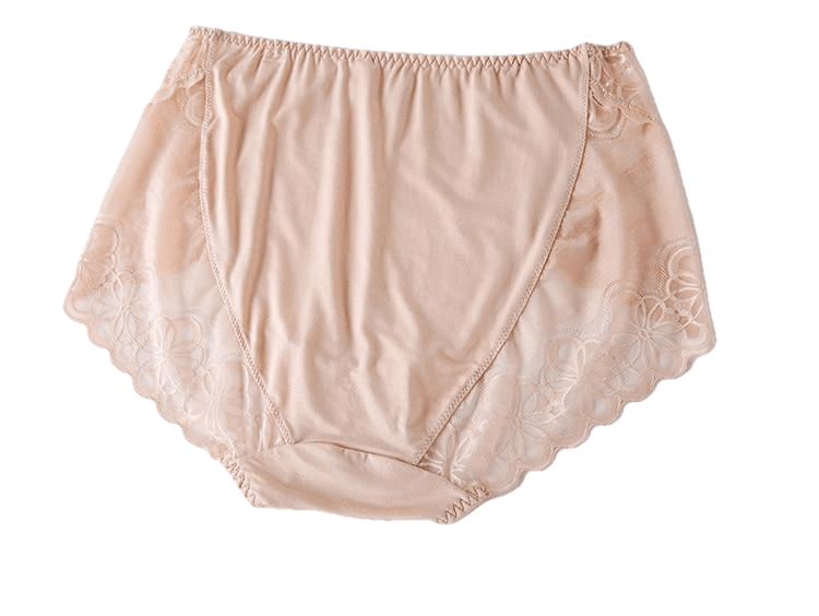 Large Size High Waist Panties For Women Underwear Ladies Big Size Briefs Plus Size Transparent Sexy Lace Panties Female 5Xl 6Xl - Sheseelady