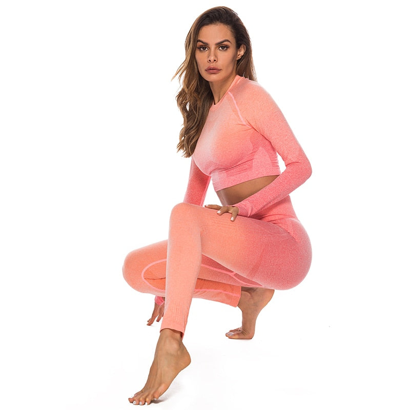 Fashion Fitness Leggings Ombre Seamless Crop Tops For Women Two Piece Set Sportswear Sweatshirt Tracksuit Women Sets - Sheseelady