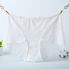 Sexy Hollow Out Floral Embroidery Lace Briefs Women With L-5Xl For Ladies