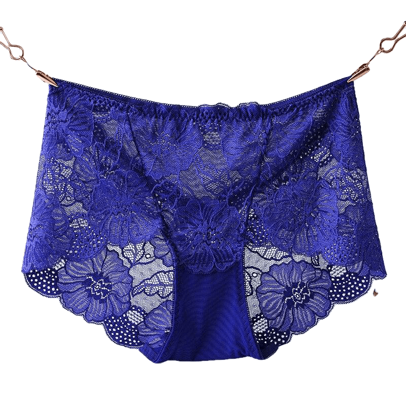 Sexy Hollow Out Floral Embroidery Lace Briefs Women With L-5Xl For Ladies