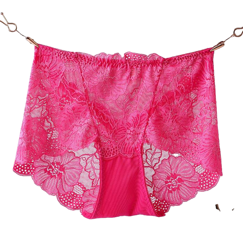 Sexy Hollow Out Floral Embroidery Lace Briefs Women With L-5Xl For Ladies