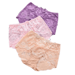 Sexy Hollow Out Floral Embroidery Lace Briefs Women With L-5Xl For Ladies
