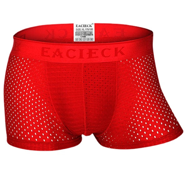 Mens Mesh Breathable Underwear Casual Ice Silk Thin Solid Color Boxers