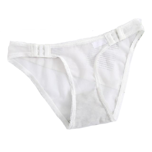 Comfortable Sexy Women's Low Waist Lace Mesh Panties Solid Color