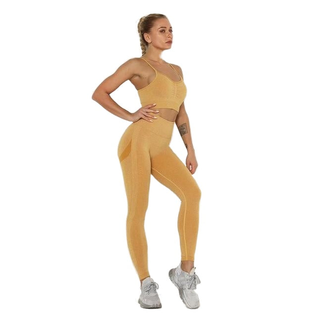 Quick-drying Sexy Ladies' Breathable Seamless Nylon Yoga Outfit