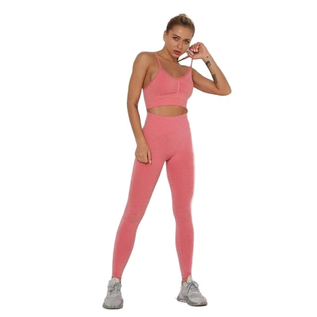 Quick-drying Sexy Ladies' Breathable Seamless Nylon Yoga Outfit