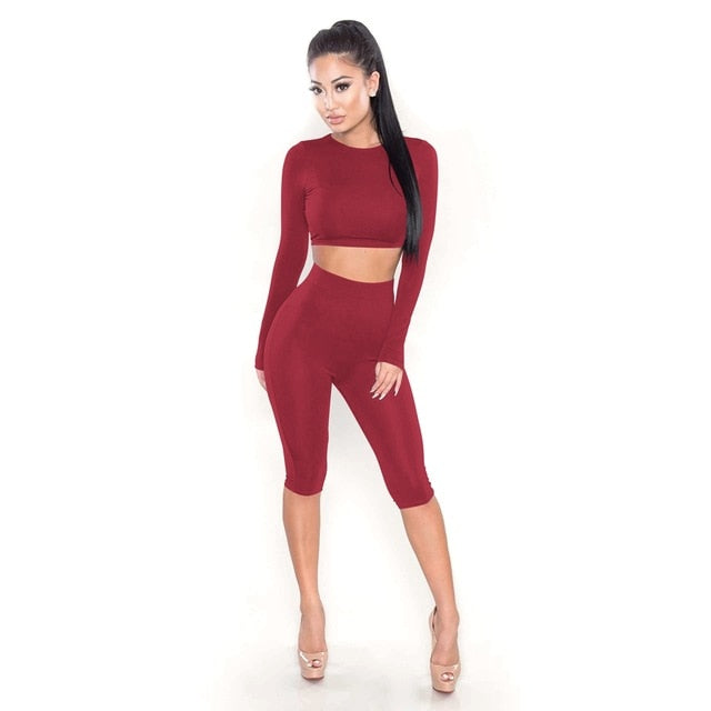 2 Piece Set Women Sexy Long Sleeve Top+Biker Shorts Track Suit Bodycon Tracksuit Casual Two Pieces Outfits Sweatsuit - Sheseelady