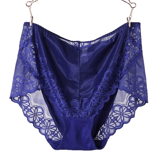 Large Size High Waist Panties For Women Underwear Ladies Big Size Briefs Plus Size Transparent Sexy Lace Panties Female 5Xl 6Xl - Sheseelady