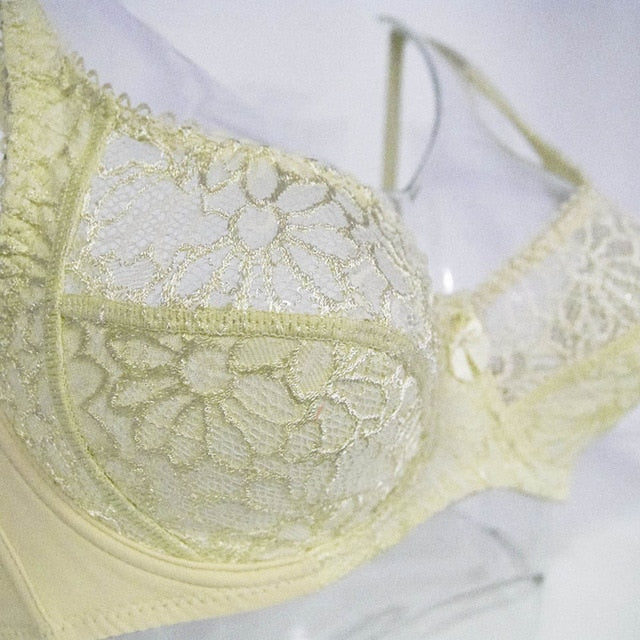 Lager Bosom Lace Perspective Bra For Womens Sexy Lingerie Underwire Embroidery Floral Bralette Plus Size Brassiere Top - Sheseelady