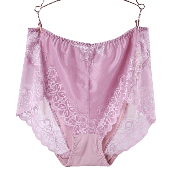 Large Size High Waist Panties For Women Underwear Ladies Big Size Briefs Plus Size Transparent Sexy Lace Panties Female 5Xl 6Xl - Sheseelady