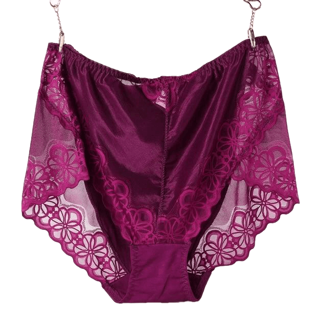 Large Size High Waist Panties For Women Underwear Ladies Big Size Briefs Plus Size Transparent Sexy Lace Panties Female 5Xl 6Xl - Sheseelady