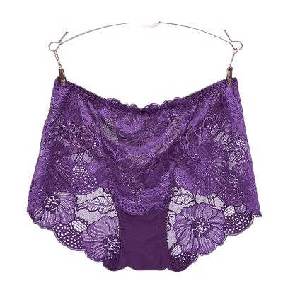 Sexy Hollow Out Floral Embroidery Lace Briefs Women With L-5Xl For Ladies