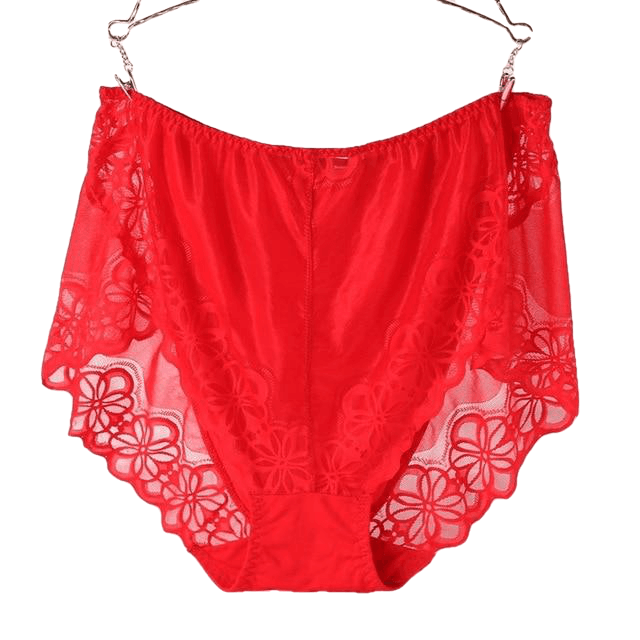 Large Size High Waist Panties For Women Underwear Ladies Big Size Briefs Plus Size Transparent Sexy Lace Panties Female 5Xl 6Xl - Sheseelady