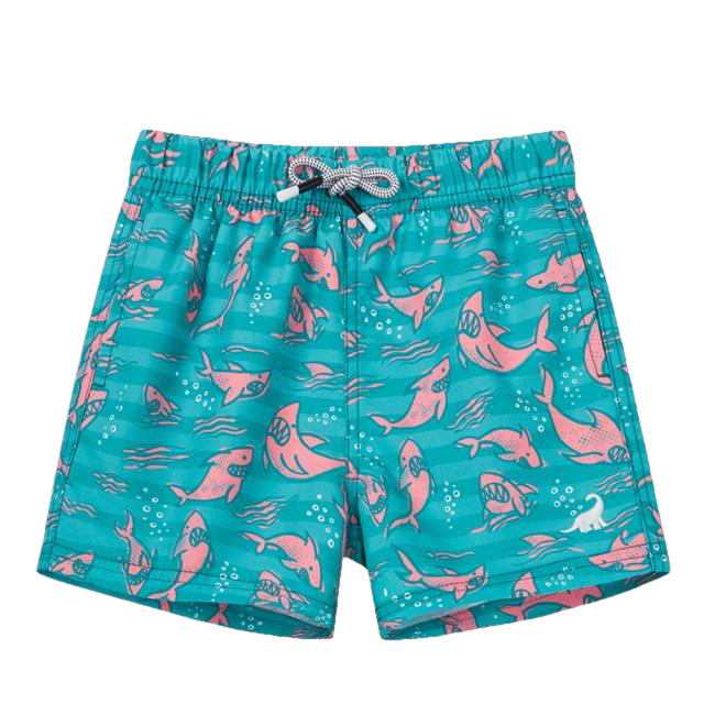 Fashionable Boys' Quick Dry Swim Trunks For Beach Board