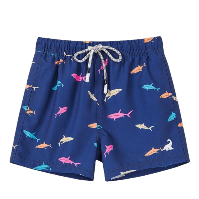 Fashionable Boys' Quick Dry Swim Trunks For Beach Board