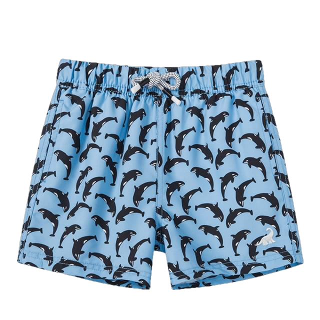 Fashionable Boys' Quick Dry Swim Trunks For Beach Board