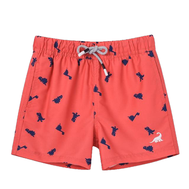 Fashionable Boys' Quick Dry Swim Trunks For Beach Board