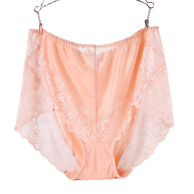 Large Size High Waist Panties For Women Underwear Ladies Big Size Briefs Plus Size Transparent Sexy Lace Panties Female 5Xl 6Xl - Sheseelady