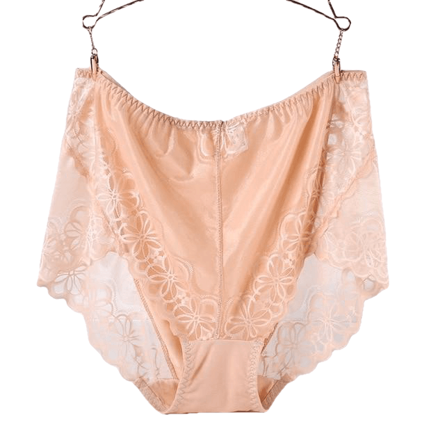 Large Size High Waist Panties For Women Underwear Ladies Big Size Briefs Plus Size Transparent Sexy Lace Panties Female 5Xl 6Xl - Sheseelady