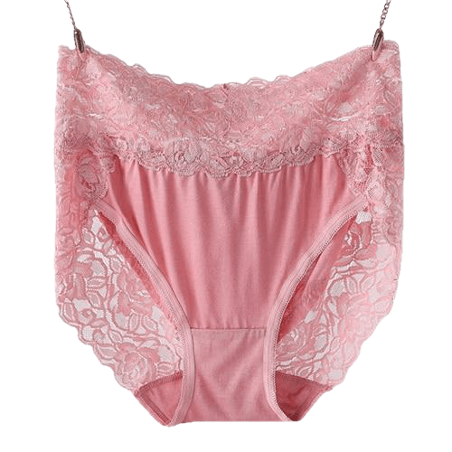 New Arrival Ropa Interior Femenina Lace Sexy Lingeries Briefs Women Underwear Plus Size 6Xl High Waist Women'S Panties