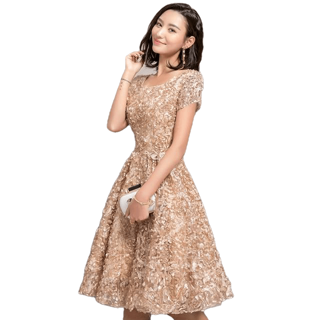 Elegant Gray Lace Prom Party Formal Gown - Sheseelady