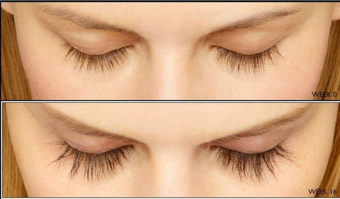 Eyelash Enhancer Growth Serum Treatment Natural Herbal - Sheseelady