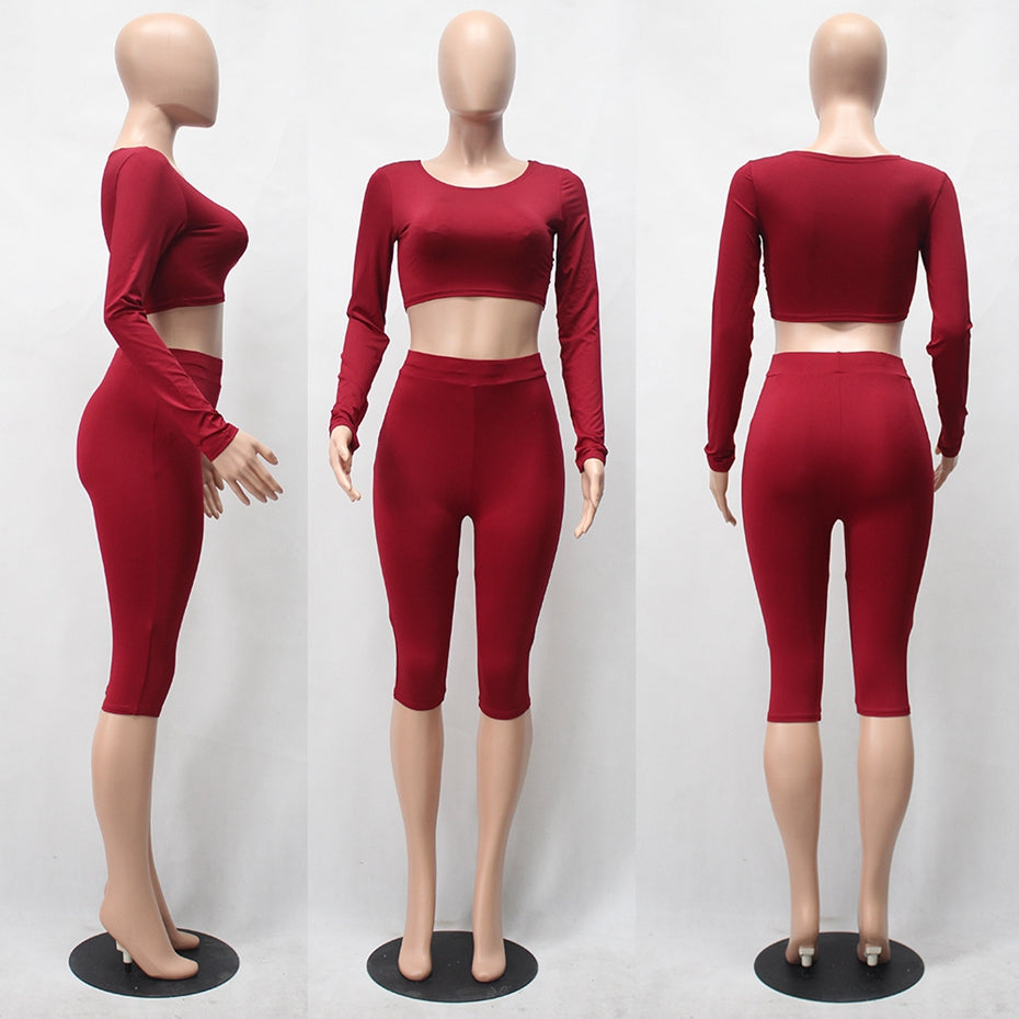 2 Piece Set Women Sexy Long Sleeve Top+Biker Shorts Track Suit Bodycon Tracksuit Casual Two Pieces Outfits Sweatsuit - Sheseelady