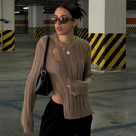 Retro Fashionable Brown Sheer Long Sleeve Sweater For Early Autumn
