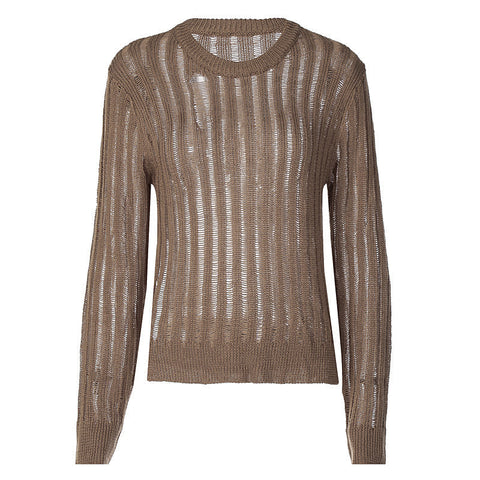 Retro Fashionable Brown Sheer Long Sleeve Sweater For Early Autumn