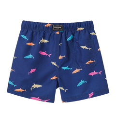 Fashionable Boys' Quick Dry Swim Trunks For Beach Board