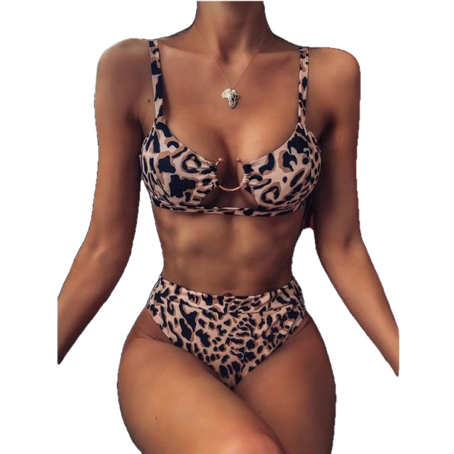 Stylish Hotties' High Waist Bikini With Leopard Print